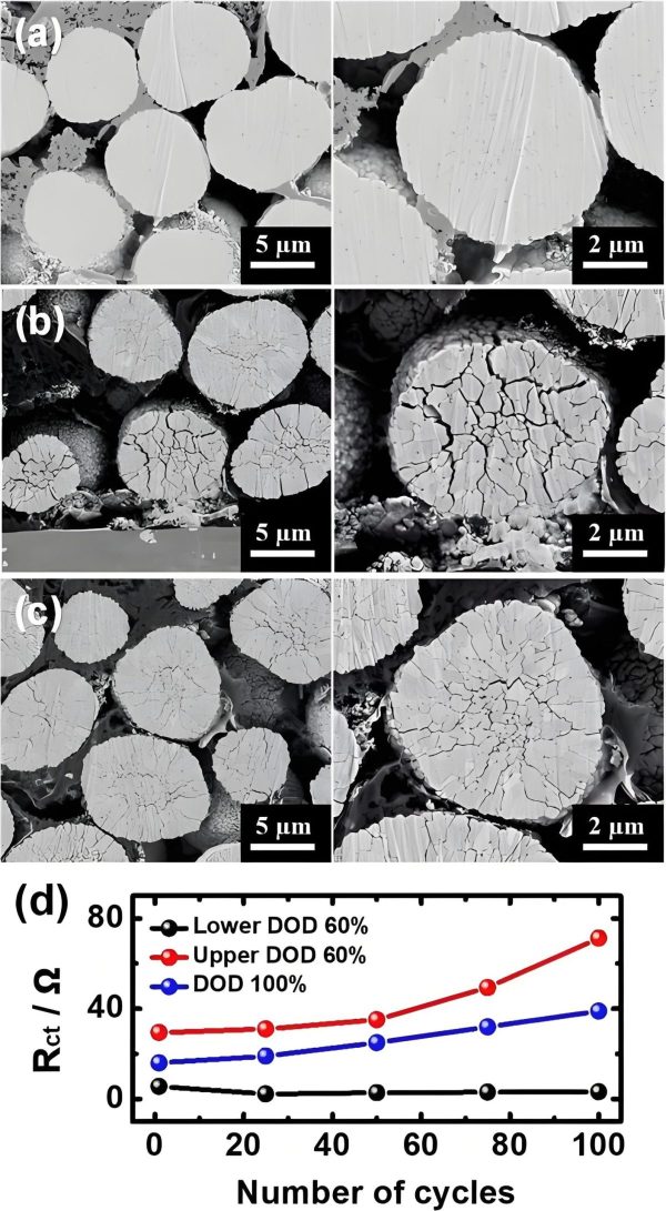 Microscopic image showing lithium battery electrode degradation